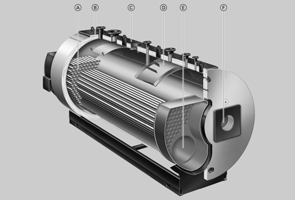 ����������� ����� Viessmann. ������ Vitomax 200-WS. �����